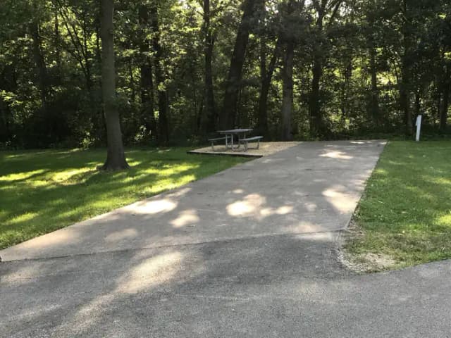 Thomson Causeway Campsite 113