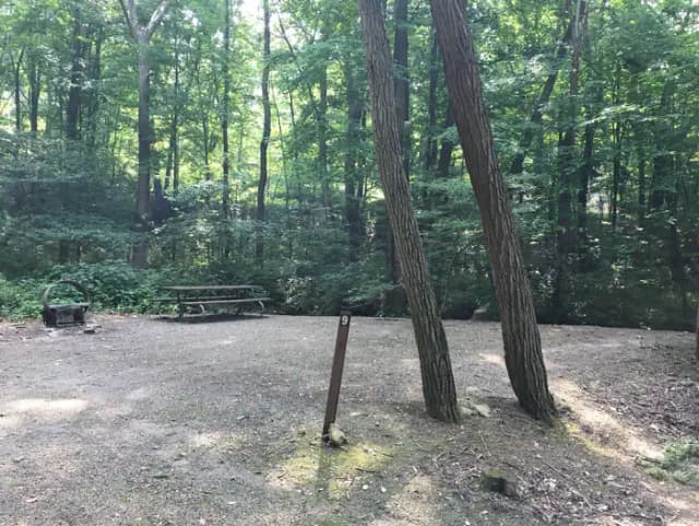 Site 9
