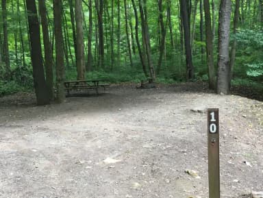 Site 010 at Mill Run Recreation Area