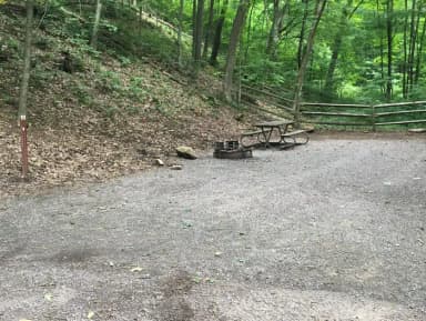 Site 011 at Mill Run Recreation Area