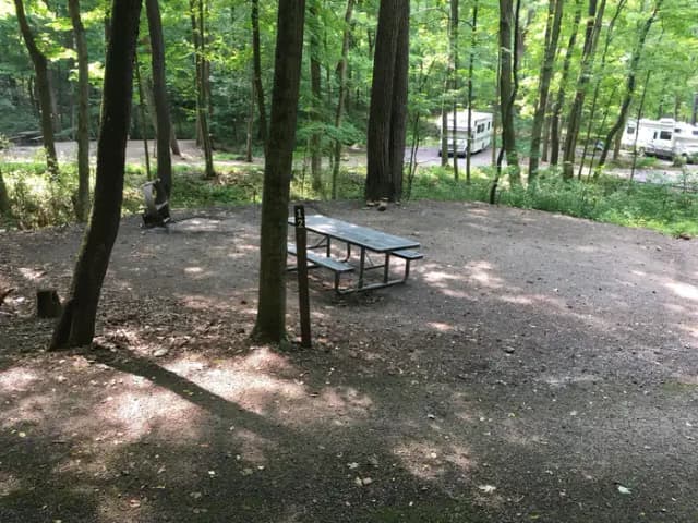 Site 12