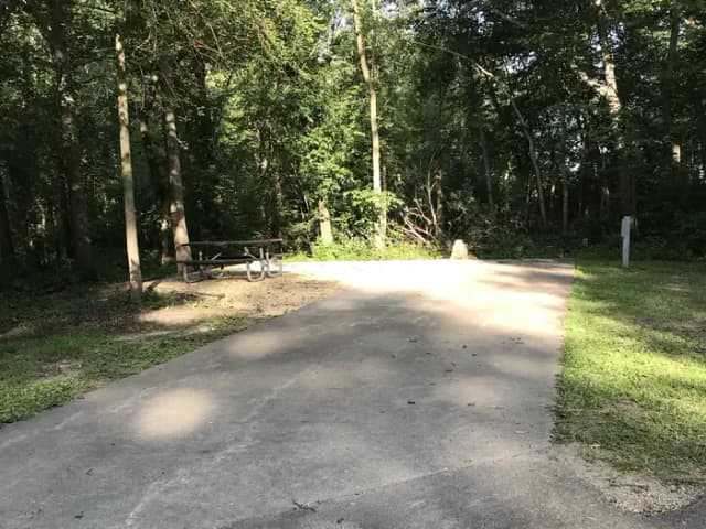 Thomson Causeway Campsite 126
