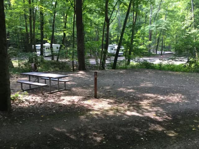 Site 13
