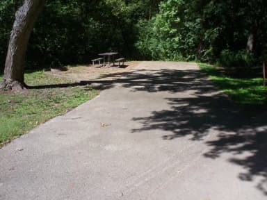 Thomson Causeway Campground camp site 5