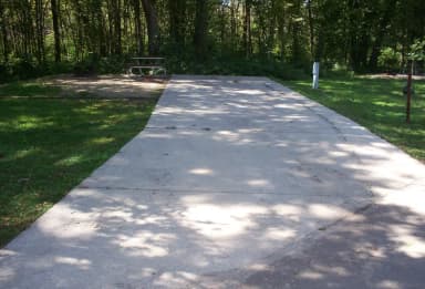 Thomson Causeway Campsite 11
