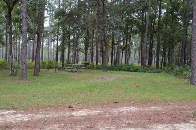 Wright Lake Campground SIte 4 Full SIte