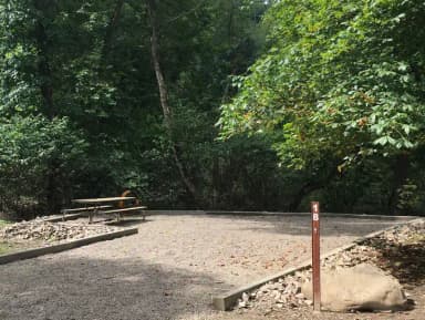 Site 018 at Mill Run Recreation Area