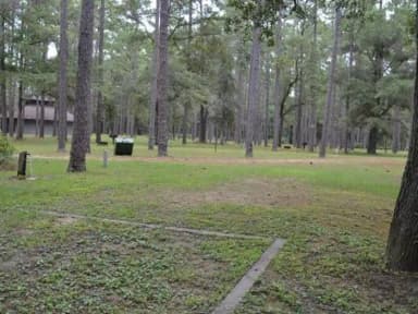 Wright Lake Campground SIte 4 View From Site