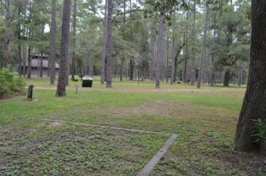 Wright Lake Campground SIte 4 View From Site