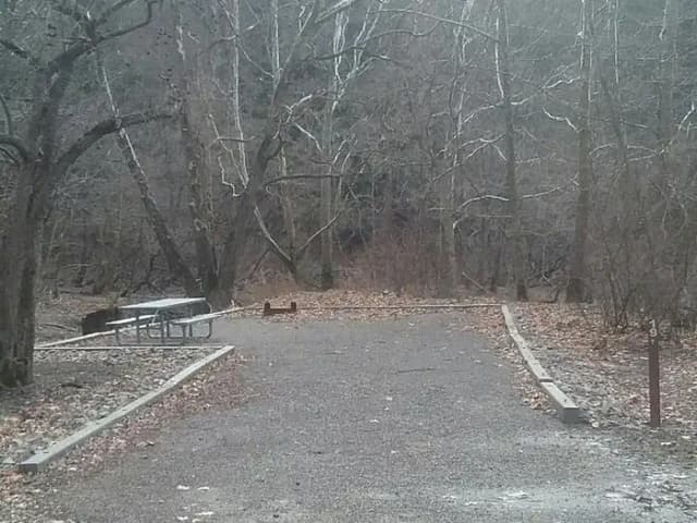 Site 19
