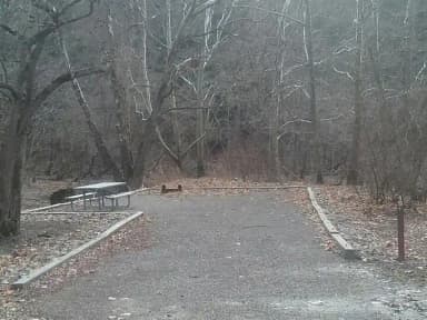 Site 019 at Mill Run Recreation Area