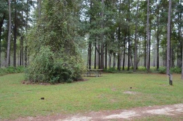 Wright Lake Campground Site 6 Full Site