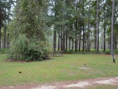 Wright Lake Campground Site 6 Full Site