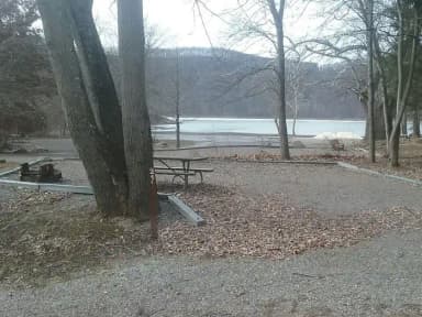 Site 021 at Mill Run Recreation Area