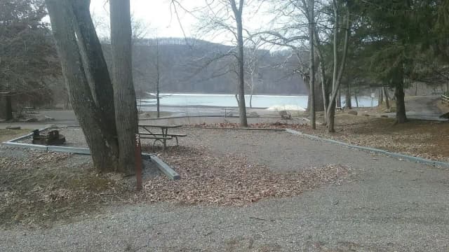 Site 21