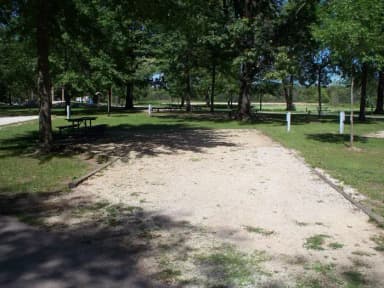 Thomson Causeway Campsite 20