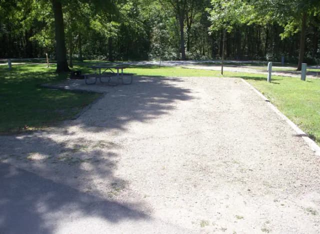 Thomson Causeway Campsite 23