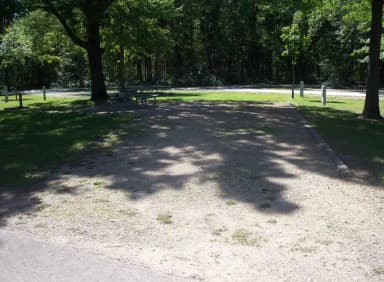 Thomson Causeway Campsite 24