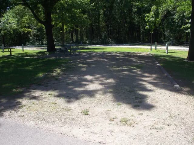 Thomson Causeway Campsite 24
