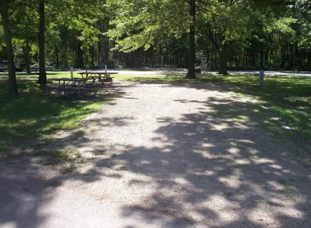 Thomson Causeway Campsite 25