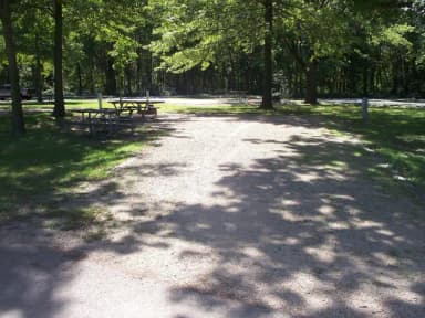 Thomson Causeway Campsite 25