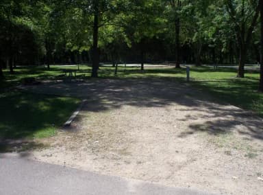 Thomson Causeway Campsite 26