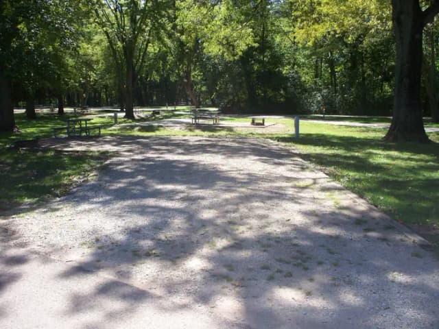 Thomson Causeway Campsite 28