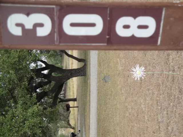 Site 308 at Flatrock (Texas)