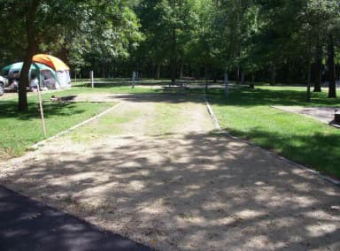 Thomson Causeway Campsite 82