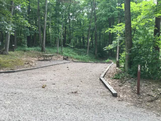 Site 23