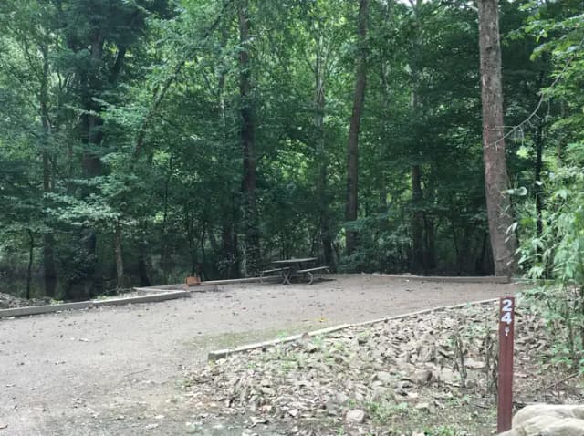 Site 24