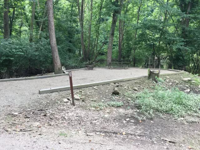 Site 25