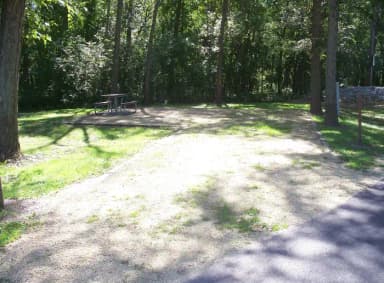 Thomson Causeway Campsite 96