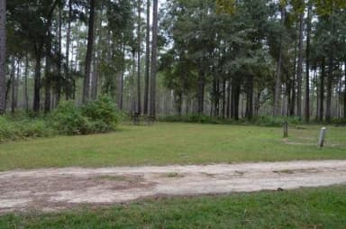 Wright Lake Campground Site 8 Full Site View