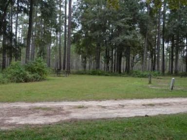 Wright Lake Campground Site 8 Full Site View