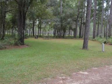 Wright Lake Campground Site 9 Site View