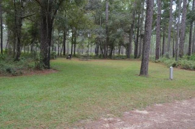 Wright Lake Campground Site 9 Site View