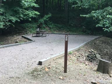 Site 028 at Mill Run Recreation Area