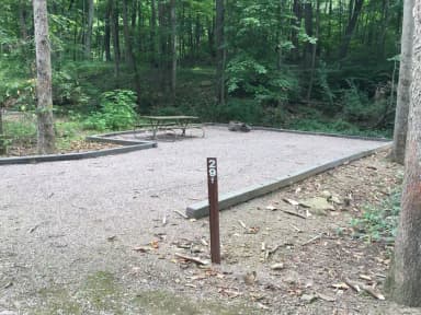 Site 029 at Mill Run Recreation Area