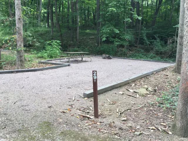 Site 29