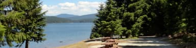 Pine Point Campground (Timothy Lake, OR)