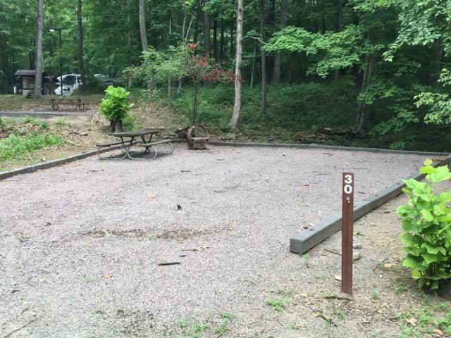 Site 30