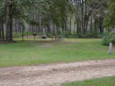 Wright Lake Campground Site 12 Site View
