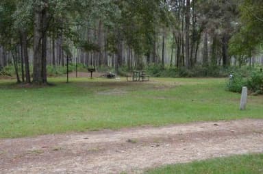Wright Lake Campground Site 12 Site View