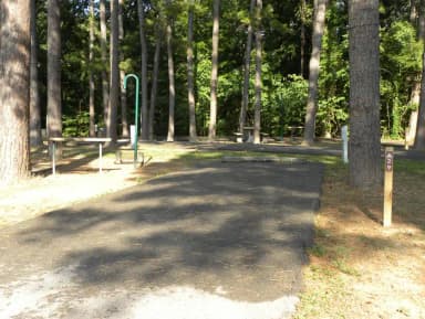 Site A29 at Piedmont Park