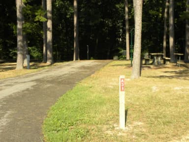 Site A31 at Piedmont Park