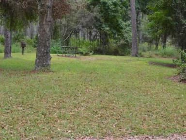 Wright Lake Campground Site 14 Site View