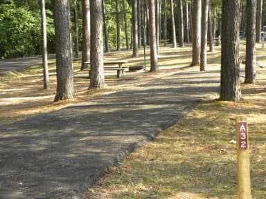 Site A32 at Piedmont Park