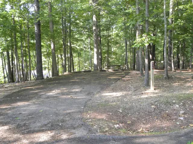 A36
