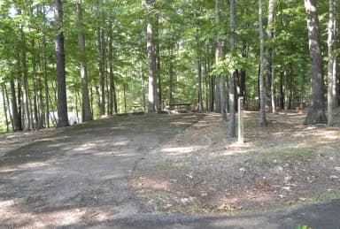 A36